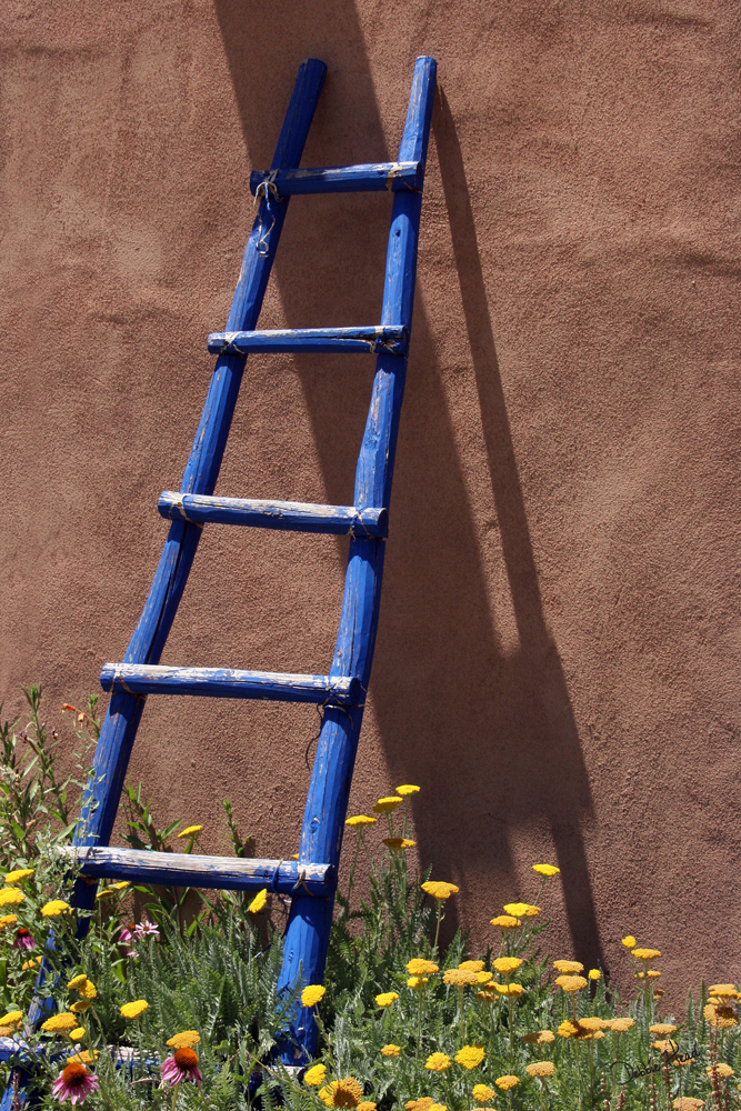 blue ladder.jpg