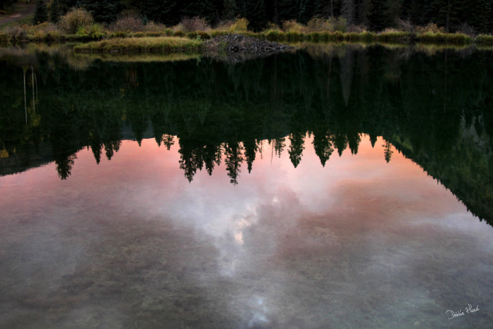 twilight_at_beaver_pond.jpg